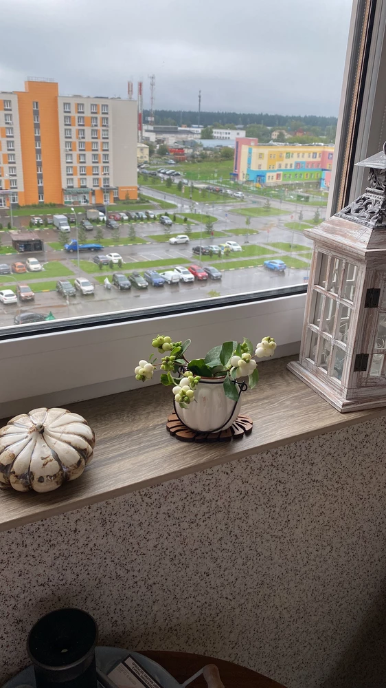 Фото из отзыва